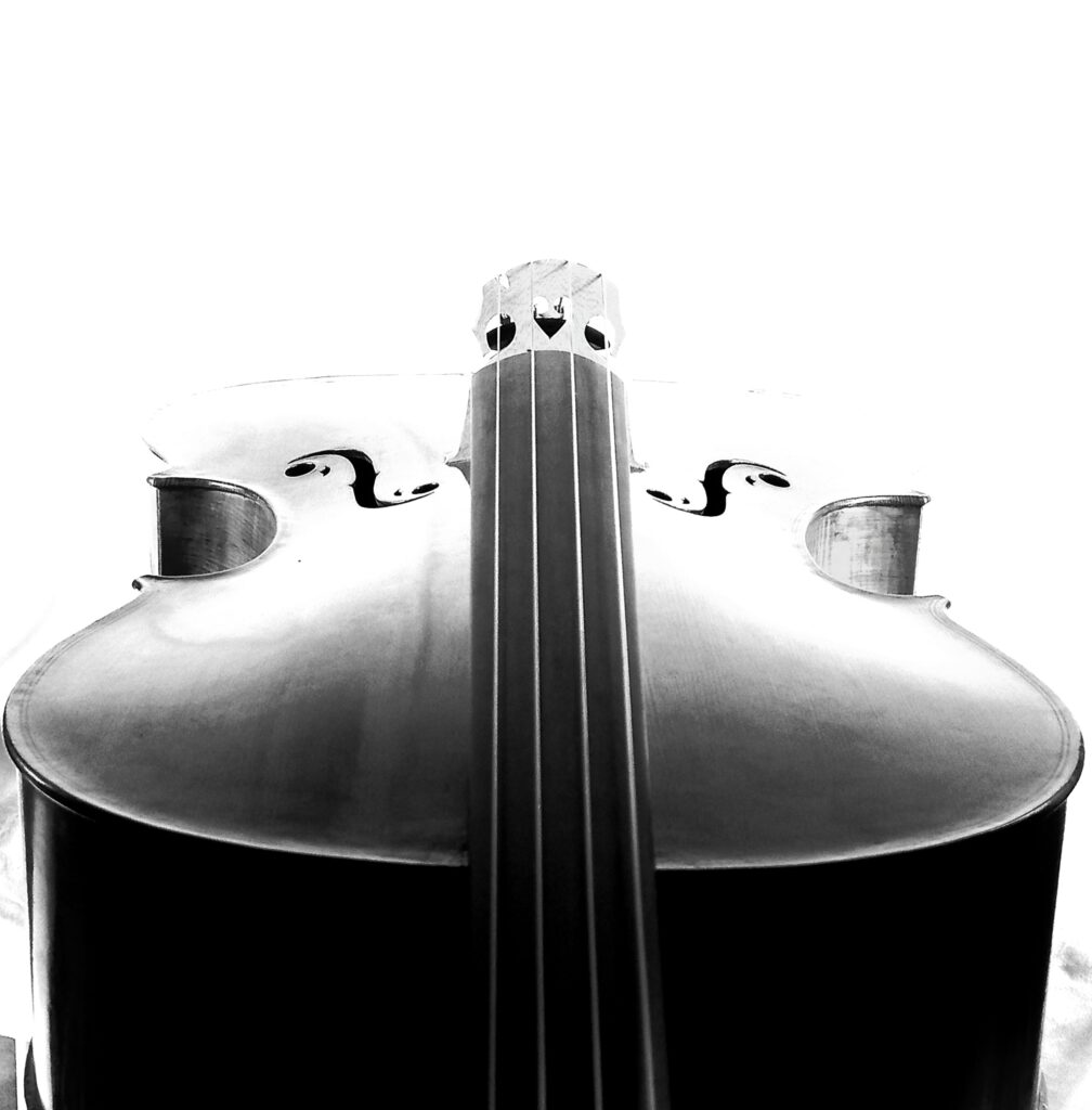 violoncelle vue sur la voute du profil que l on vois par le manche